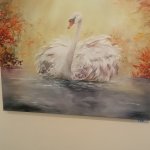 phoca_thumb_m_zajci mokady a  tic 56 Fotogalerie